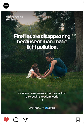 Fireflies